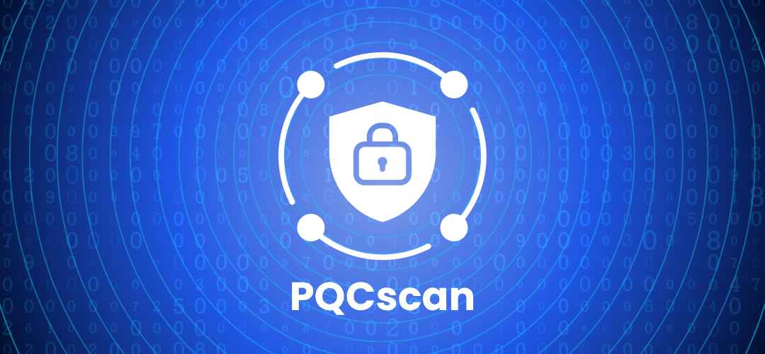 Scanning for Post-Quantum Cryptographic Support